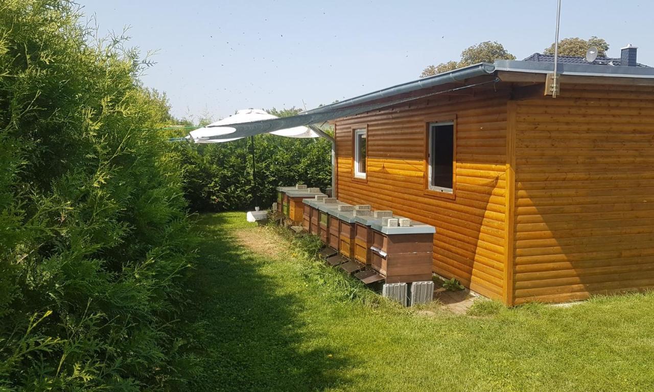 Ferienhaus Zum Imker Velten Εξωτερικό φωτογραφία